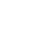 Color icon